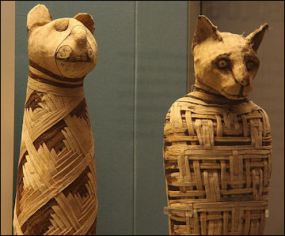 20120215-British_museum_Egypt_mummies_of_animals_